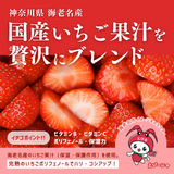 いちごシャンプー500mL – every_nature_days いちごシャンプー500mL – every_nature_days